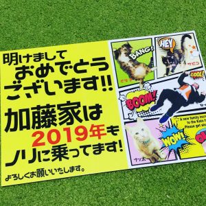 画像:2019年、ノリにノッています。