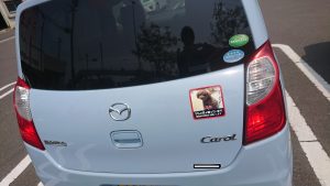 画像:ペット イン カー!